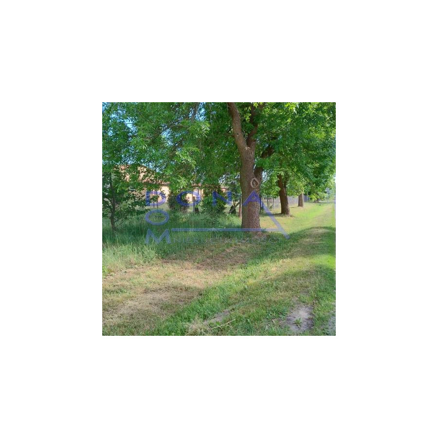 łódzkie, tomaszowski, Rokiciny, Nowe Chrusty, Działka budowlana 6000m2 ok.Koluszek, 100zł/m2